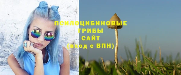 соль ск Абаза