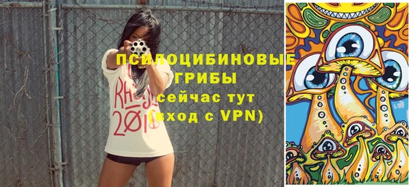 мдпв Инта
