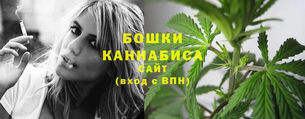 соль ск Абаза