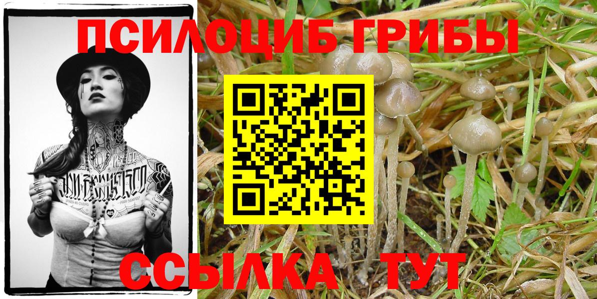 Псилоцибиновые грибы Magic Shrooms  Галлюциногенные грибы ЛСД  Симферополь  Вход с VPN 